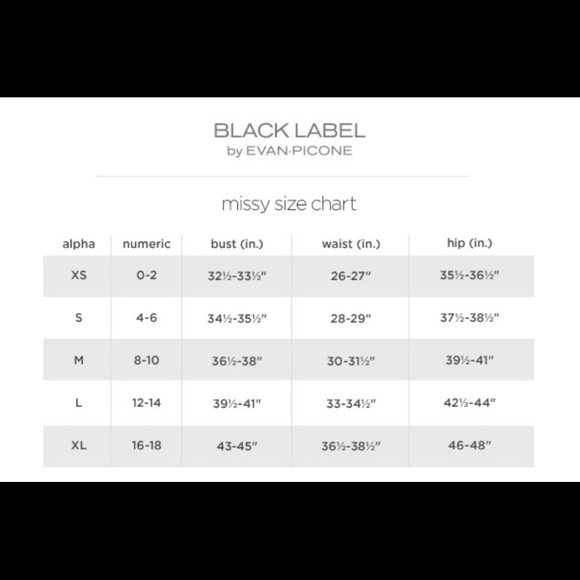 Black Label by Evan Picone Dress - Picture 8 of 8